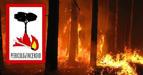 Incendi boschivi